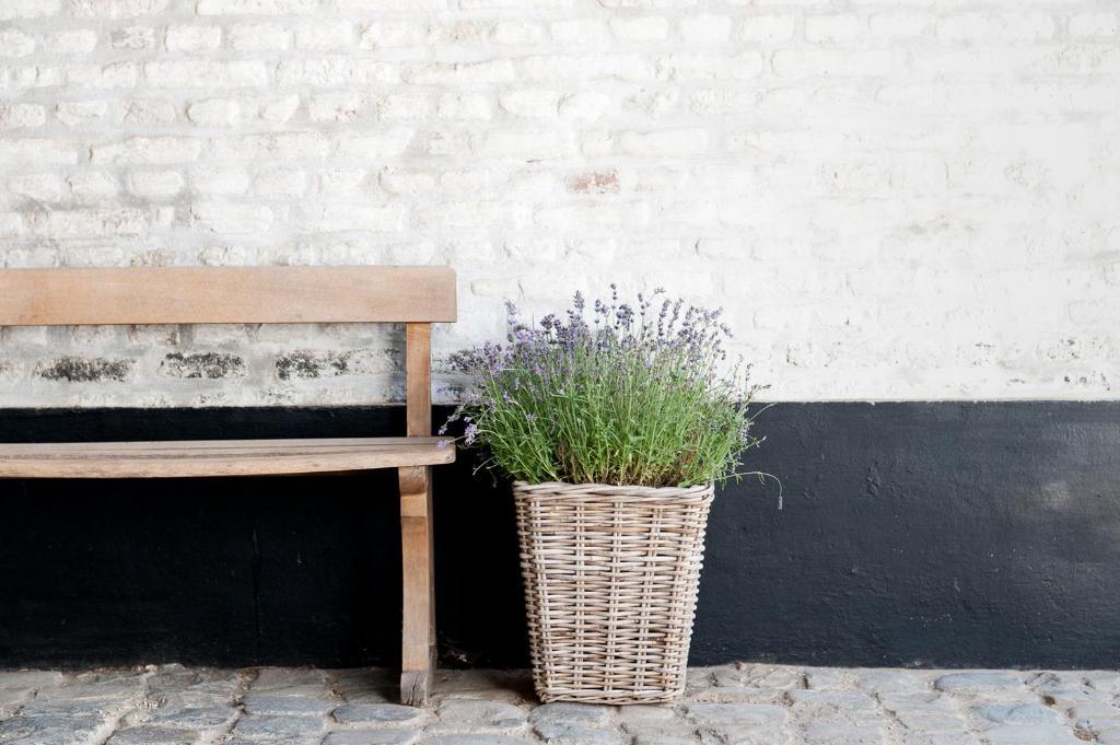 Cour 8 Lofts Pensionat Maastricht Rum bild