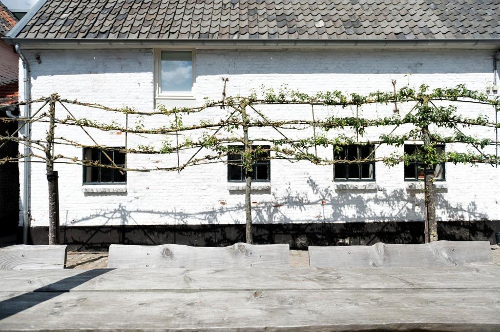 Cour 8 Lofts Pensionat Maastricht Rum bild